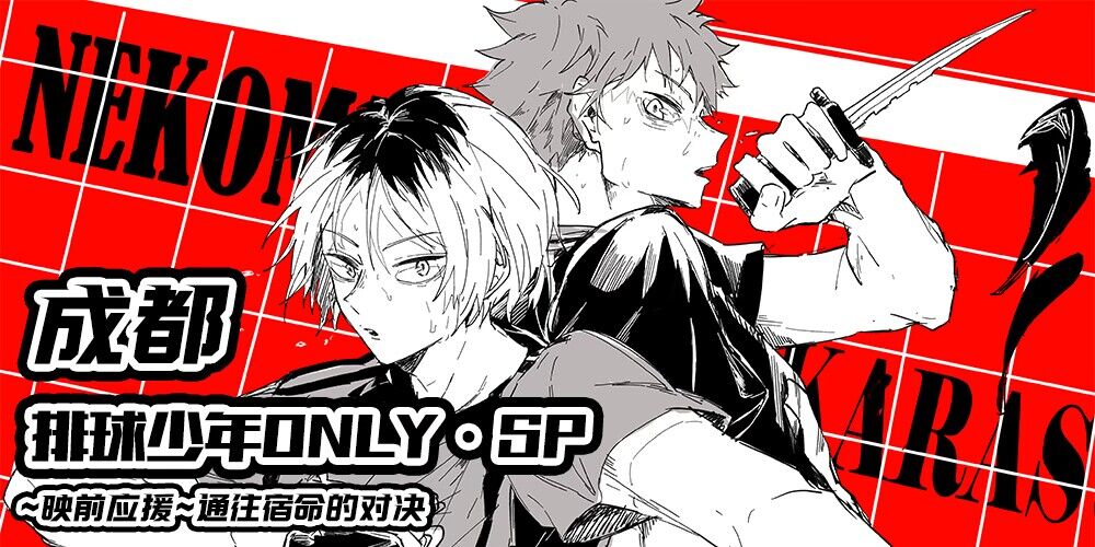 成都排球少年ONLY·SP