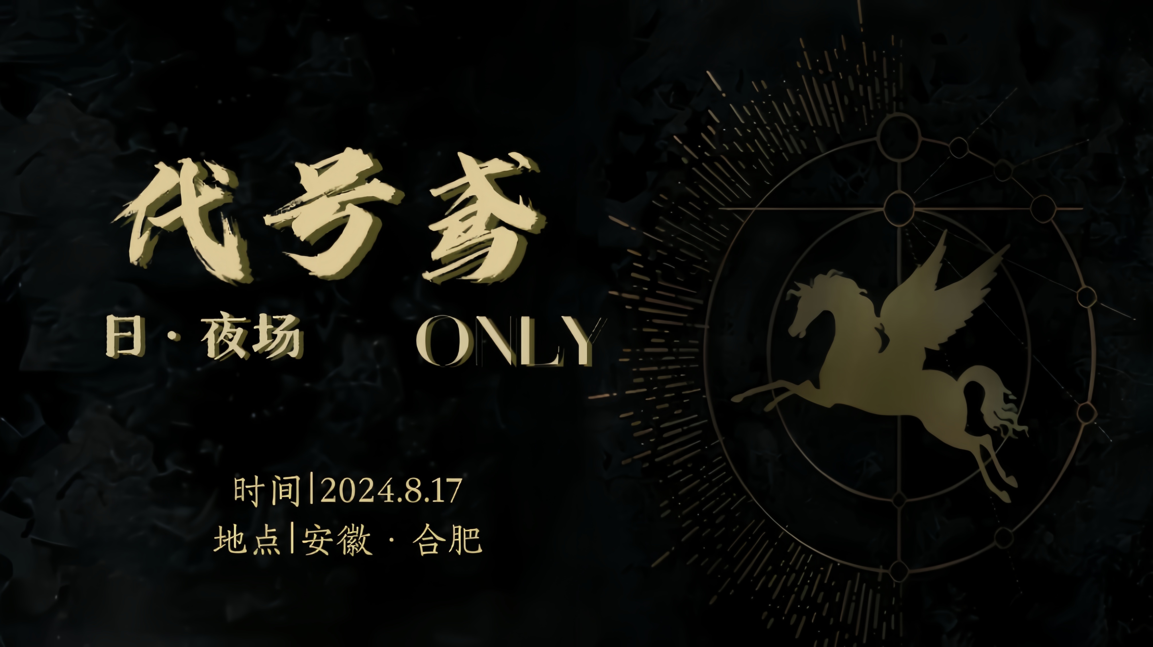 合肥代号鸢Only·日夜场