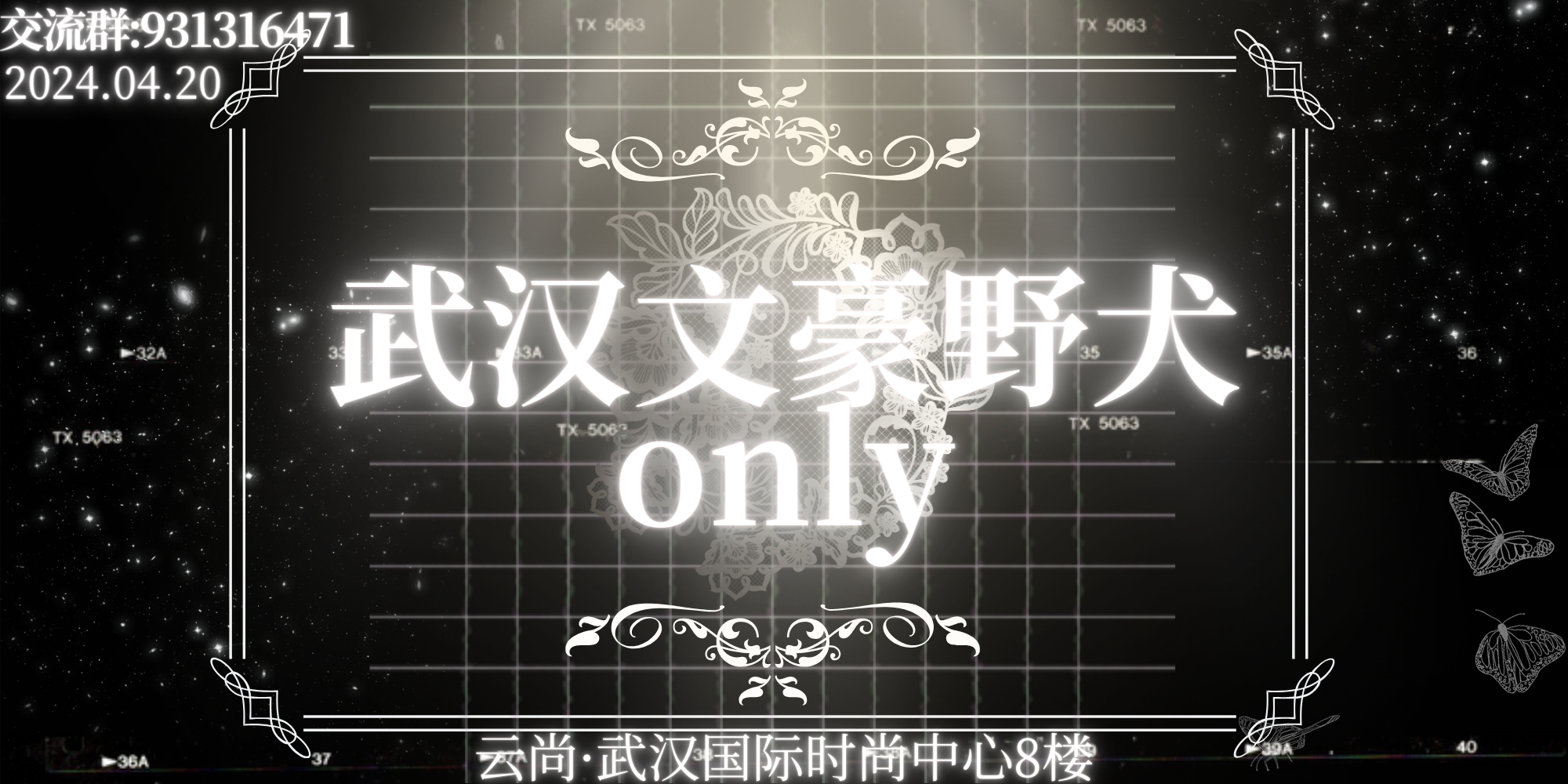武汉文豪野犬only